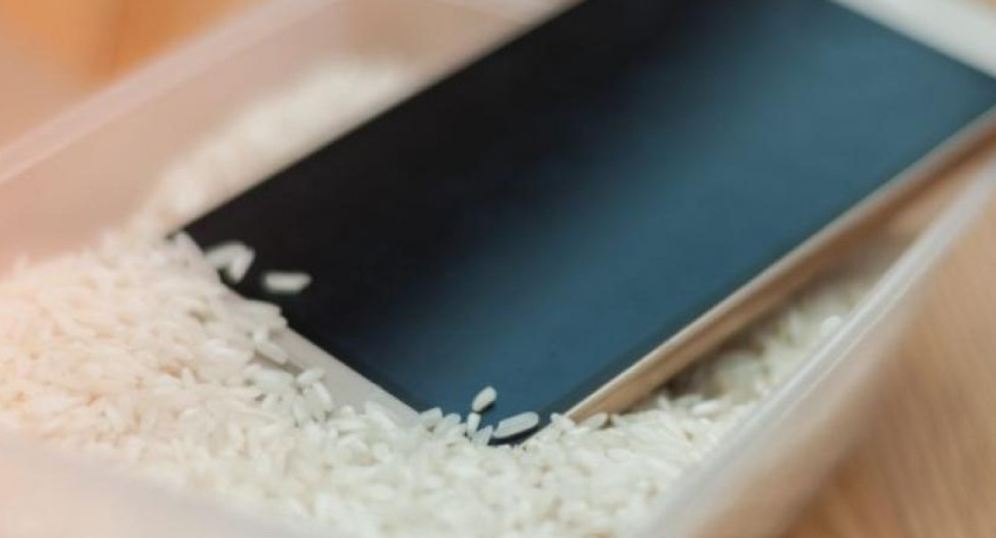 Celular en arroz, tecnología, teléfono. Foto: X