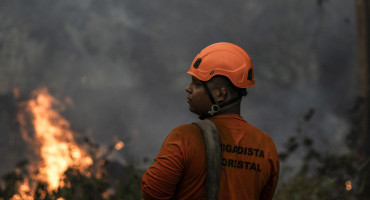 Incendios forestales en Brasil. Foto: EFE
