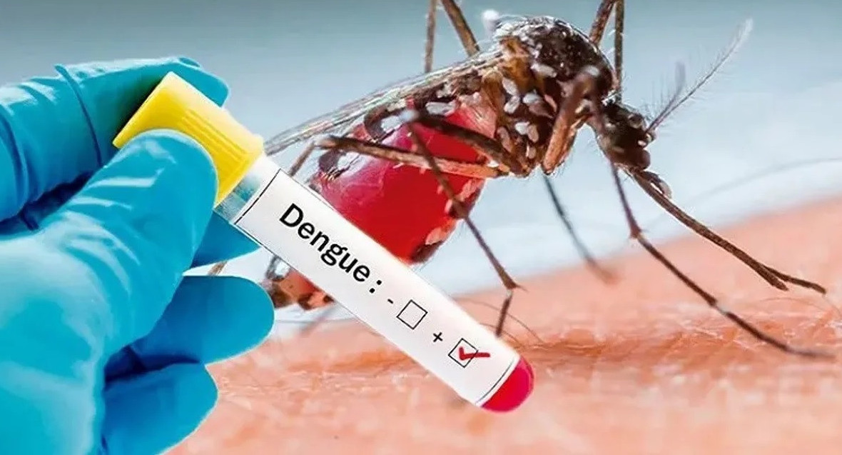 Dengue. Foto: NA