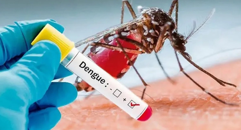 Dengue. Foto: NA