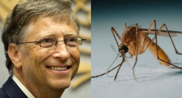 Bill Gates, mosquitos
