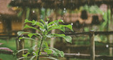 Lluvia, tormenta, agua. Foto: Unsplash