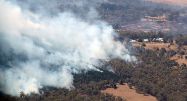 Incendios forestales en Australia. Foto: Reuters.