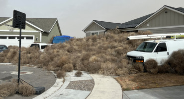 Invasión de plantas rodadoras en Utah, Estados Unidos. Foto: Reuters.