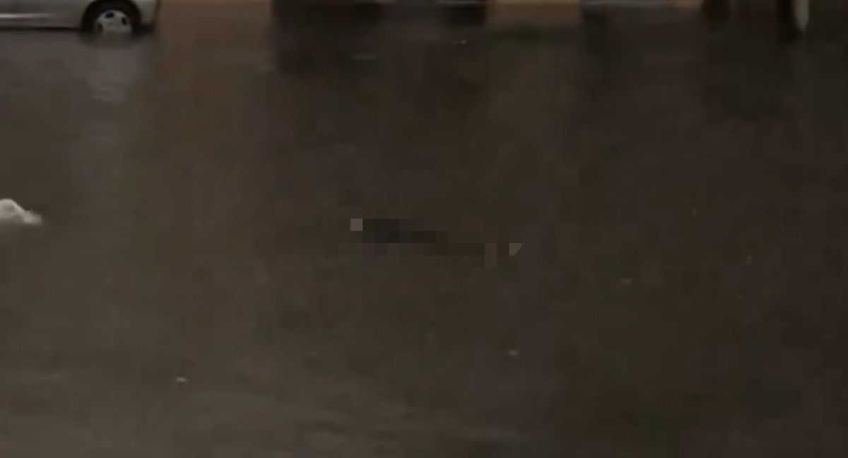 Apareció un cuerpo en Valentín Alsina en medio del temporal. Foto: captura video.