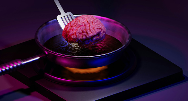 Cerebro. Foto: Unsplash