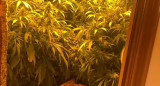 Desarticularon una organización criminal que introdujo 3.388 kilos de cannabis a través del Guadalquivir. Foto: captura video EFE.