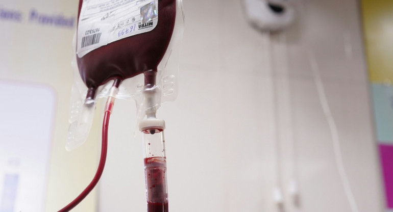 Donación de sangre. Foto: Unsplash.