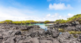 Islas Galápagos. Foto: Reuters, Alamy