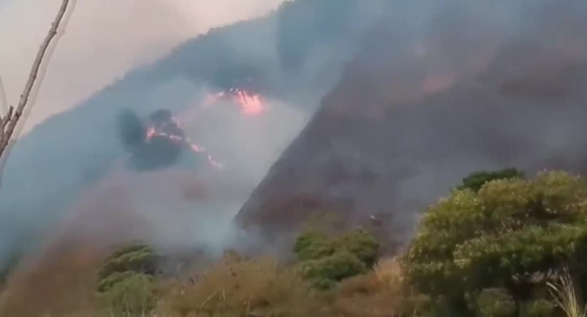 Incendio forestal en Venezuela. Foto: Captura de pantalla/EFE.