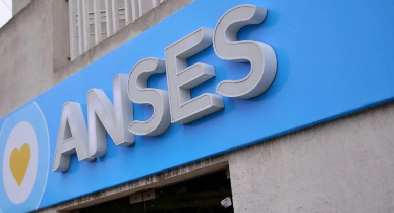 ANSES. Foto: NA