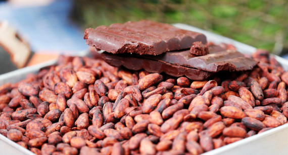 Cacao. Foto: EFE.
