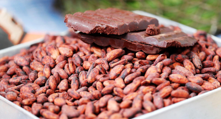 Cacao. Foto: EFE.