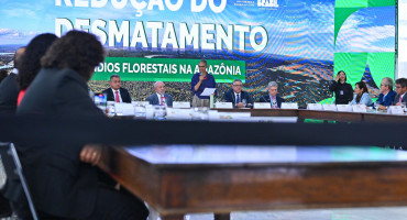 Proyecto para combatir la tala ilegal en la Amazonía. Foto: EFE