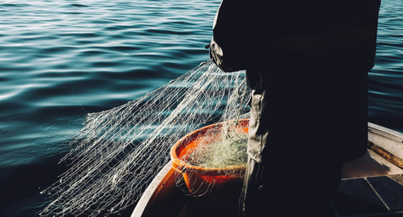 Pesca de arrastre. Foto: Unsplash.