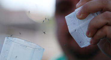 Dengue. Foto: Reuters.