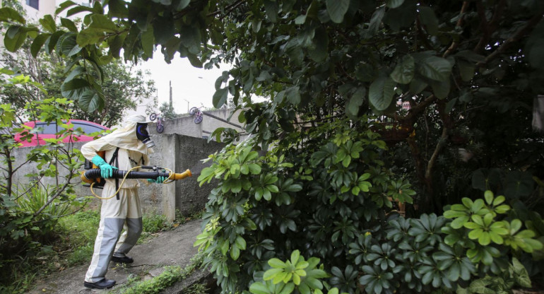 Fumigación por dengue. Foto: EFE