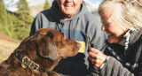 Mascotas y adultos mayores. Foto: Unsplash.