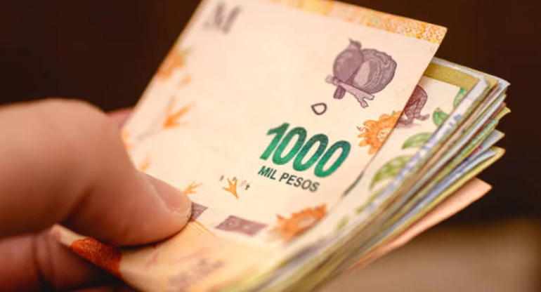 Dinero argentino. Foto: NA