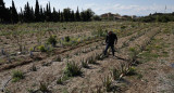 Sequía en Francia. Foto: EFE