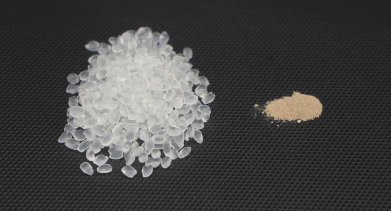 Bolitas de poliuretano termoplástico (izquierda) y polvos de esporas (derecha) que se mezclan para fabricarlo. Foto: EFE.