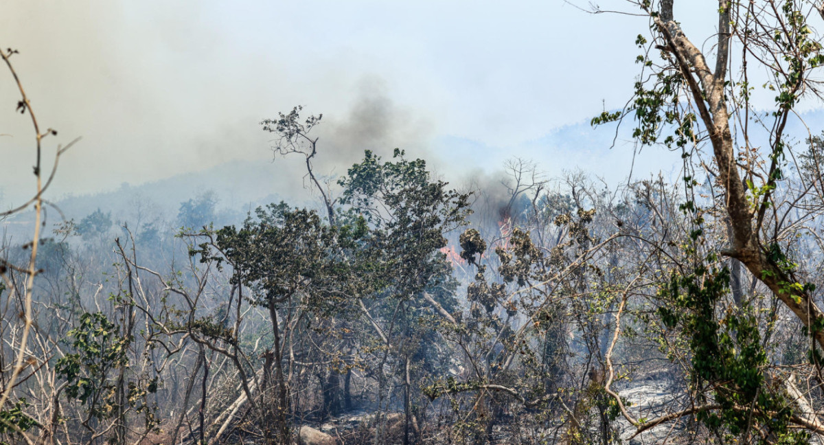 Incendios forestales azotan a la ciudad mexicana de Acapulco. Foto EFE.