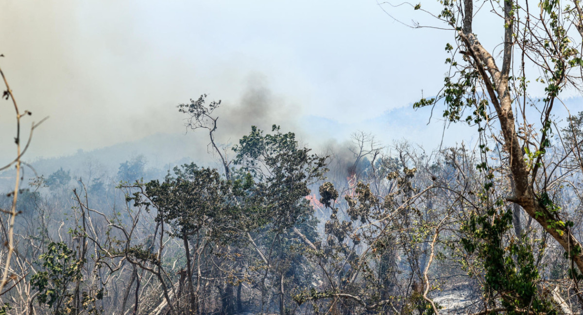 Incendios forestales azotan a la ciudad mexicana de Acapulco. Foto EFE.