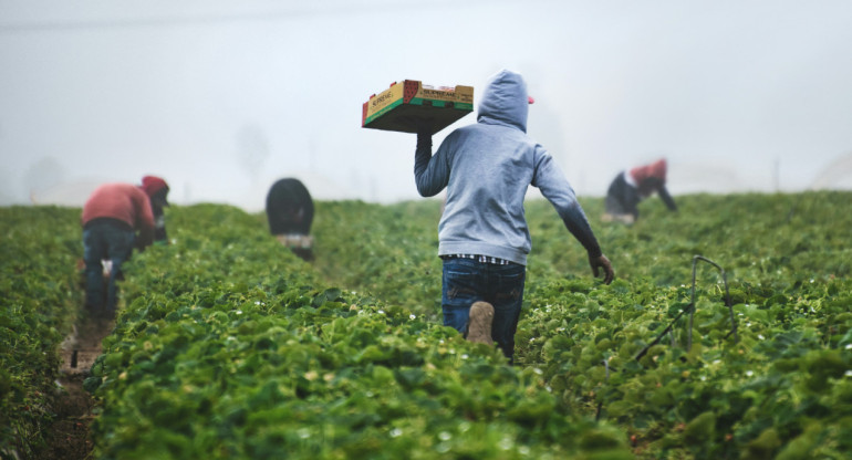 Agricultura en África. Foto: Unsplash.