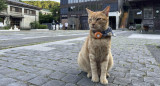 Houtong, el pueblo taiwanés que cambió las minas de carbón por el amor a los gatos. Foto: EFE.