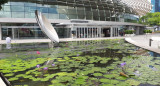 Singapur solucionó sus problemas con la basura y el reciclado. Foto: EFE.