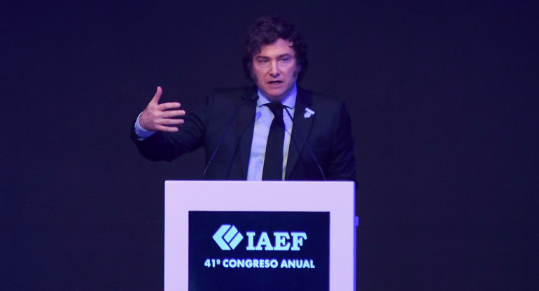 Javier Milei habló en el cierre del 41° Congreso Anual del IAEF. Foto: NA.