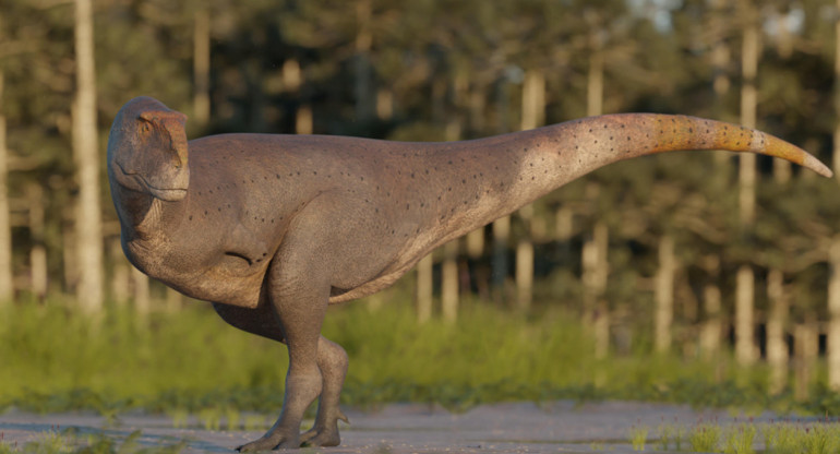Hallan en Chubut una nueva especie de dinosaurio carnívoro. Foto: CONICET