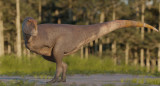 Hallan en Chubut una nueva especie de dinosaurio carnívoro. Foto: CONICET