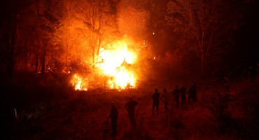Incendio forestal en la localidad de Nacimiento, Chile. Foto: Reuters