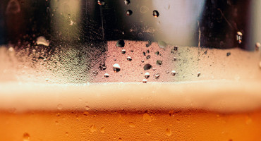 Cervecería, bebida. Foto: Unsplash