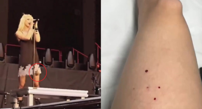 Taylor Momsen fue mordida por un murciélago en pleno show. Fotos: captura video.