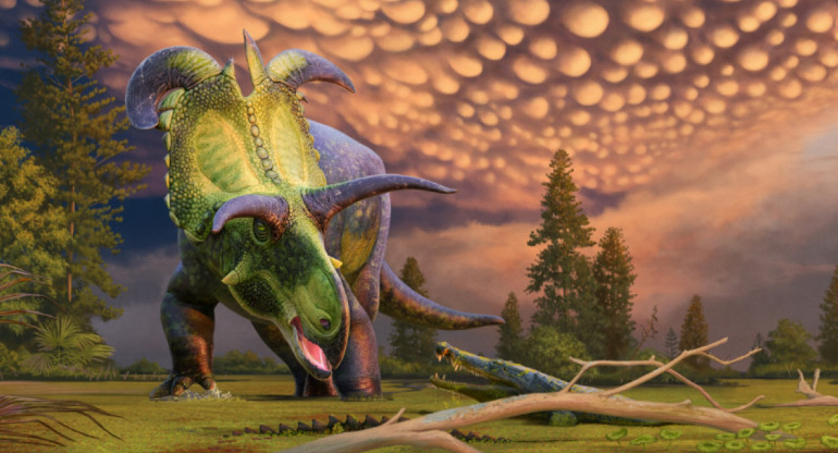 Así habría sido el Lokiceratops Rangiformis. Foto: X.