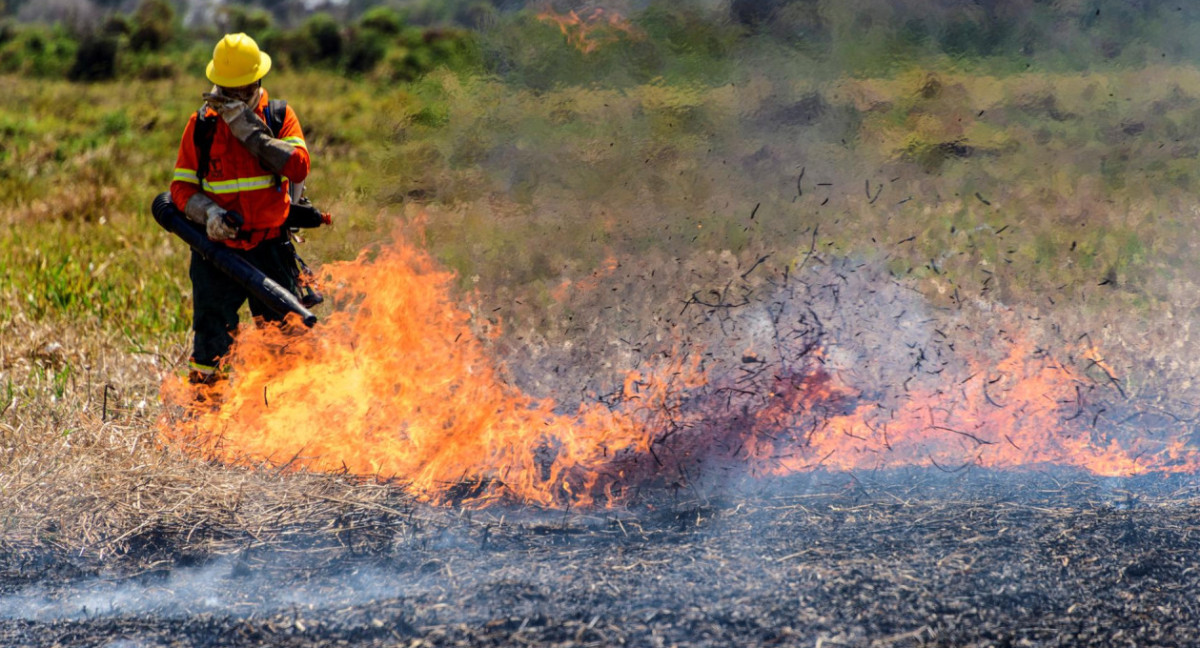 Incendios en Brasil. Fuente: EFE.