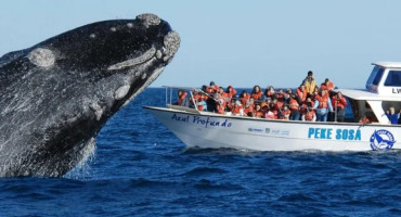 Temporada de ballenas. Foto NA.