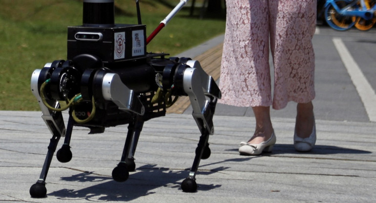 Un robot de seis patas, un " perro guía " en Shanghái. Foto: Reuters.