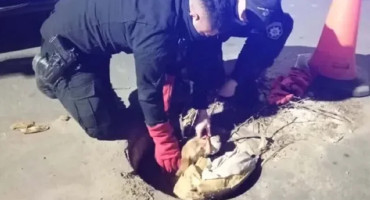 Policías de Rosario rescataron a un perrito de un pozo. Foto: redes sociales.