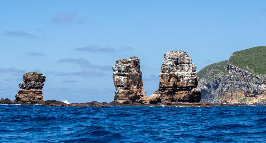 Isla Galápagos. Foto: EFE