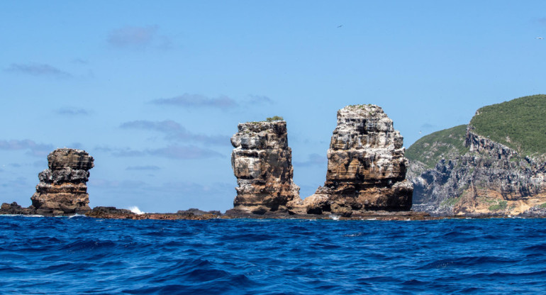 Isla Galápagos. Foto: EFE