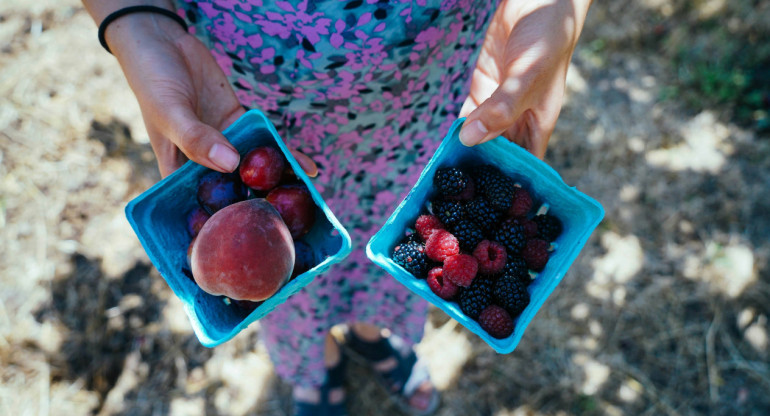 Frutas, alimento, fibra, dieta saludable. Foto: Unsplash