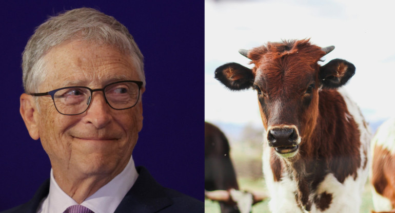 Bill Gates y su plan para remplazar a las vacas. Foto: Reuters | Unsplash