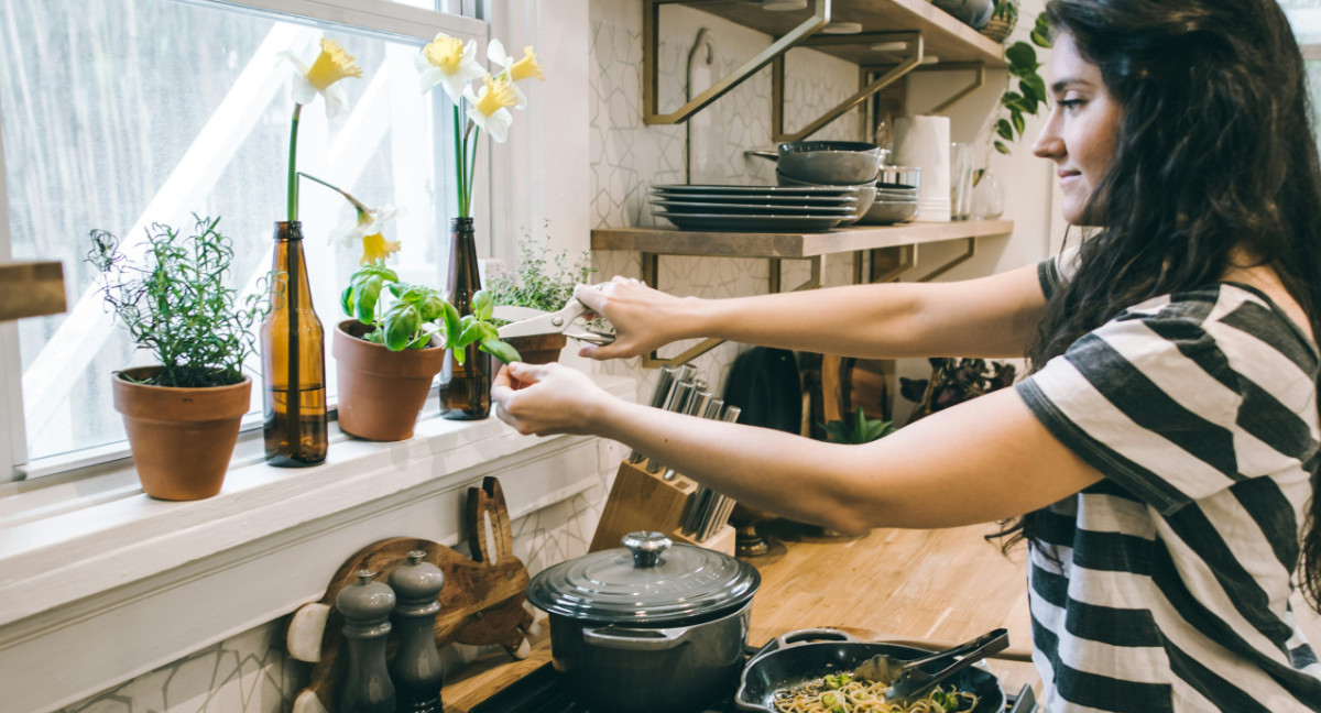 Plantas, albahaca, semillas. Foto: Unsplash