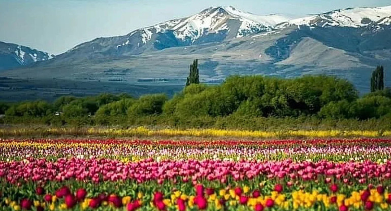 Trevelin es un nombre galés que se traduce al castellano como "Pueblo del Molino". Foto: NA