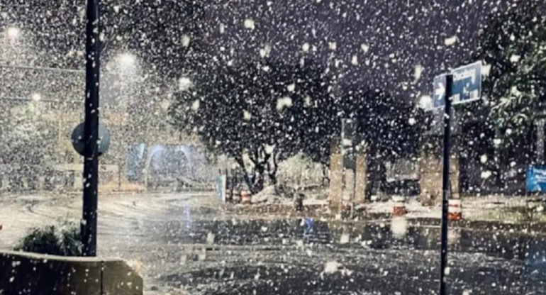 Nieve en Buenos Aires. Foto: NA.