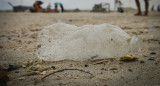 Reciclaje; plástico; botella. Foto: Unsplash.