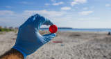 Reciclaje; plástico; botella. Foto: Unsplash.
